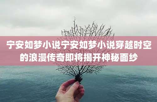 宁安如梦小说宁安如梦小说穿越时空的浪漫传奇即将揭开神秘面纱