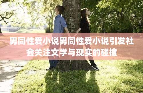 男同性爱小说男同性爱小说引发社会关注文学与现实的碰撞
