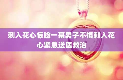 刺入花心惊险一幕男子不慎刺入花心紧急送医救治