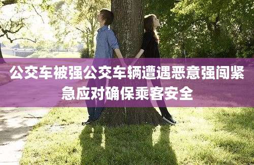 公交车被强公交车辆遭遇恶意强闯紧急应对确保乘客安全