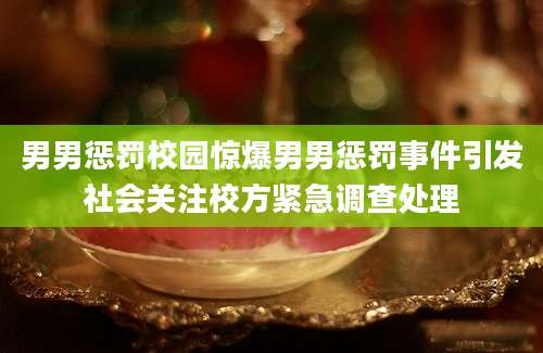 男男惩罚校园惊爆男男惩罚事件引发社会关注校方紧急调查处理
