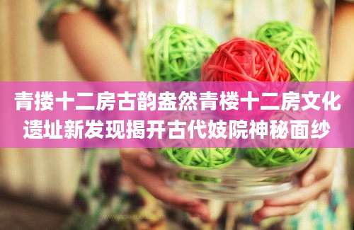 青搂十二房古韵盎然青楼十二房文化遗址新发现揭开古代妓院神秘面纱