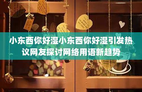 小东西你好湿小东西你好湿引发热议网友探讨网络用语新趋势