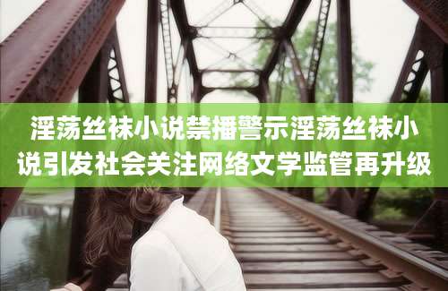淫荡丝袜小说禁播警示淫荡丝袜小说引发社会关注网络文学监管再升级