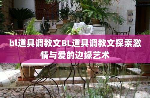 bl道具调教文BL道具调教文探索激情与爱的边缘艺术