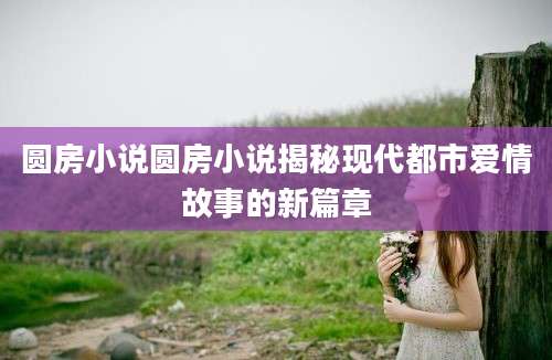 圆房小说圆房小说揭秘现代都市爱情故事的新篇章