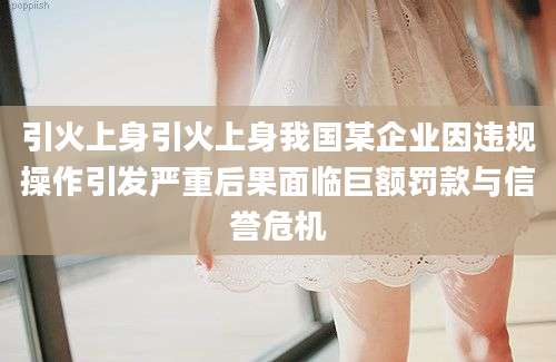 引火上身引火上身我国某企业因违规操作引发严重后果面临巨额罚款与信誉危机