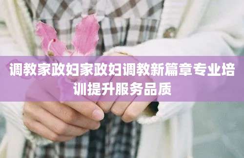 调教家政妇家政妇调教新篇章专业培训提升服务品质
