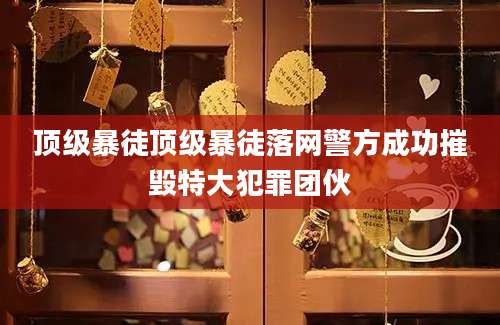 顶级暴徒顶级暴徒落网警方成功摧毁特大犯罪团伙