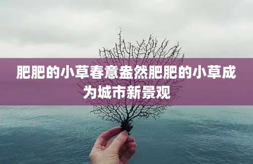 肥肥的小草春意盎然肥肥的小草成为城市新景观