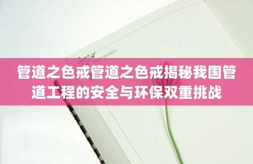 管道之色戒管道之色戒揭秘我国管道工程的安全与环保双重挑战