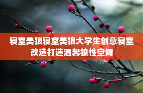 寝室美狼寝室美狼大学生创意寝室改造打造温馨狼性空间