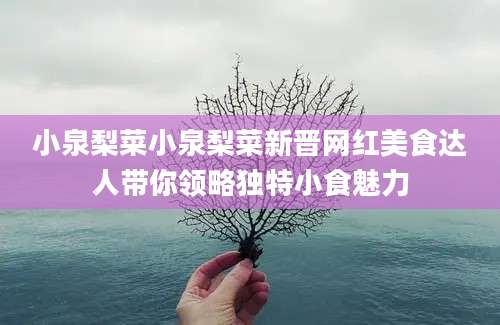 小泉梨菜小泉梨菜新晋网红美食达人带你领略独特小食魅力