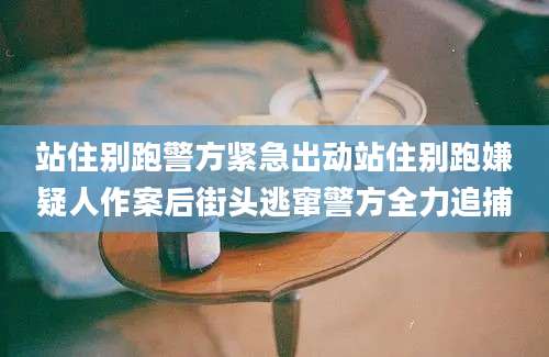 站住别跑警方紧急出动站住别跑嫌疑人作案后街头逃窜警方全力追捕