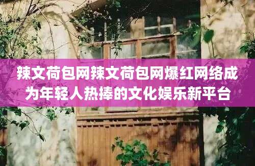 辣文荷包网辣文荷包网爆红网络成为年轻人热捧的文化娱乐新平台