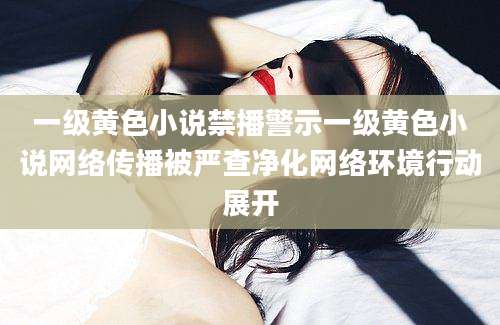 一级黄色小说禁播警示一级黄色小说网络传播被严查净化网络环境行动展开