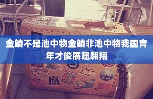 金鳞不是池中物金鳞非池中物我国青年才俊展翅翱翔