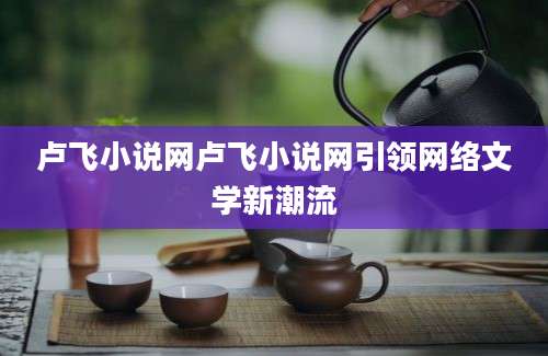 卢飞小说网卢飞小说网引领网络文学新潮流