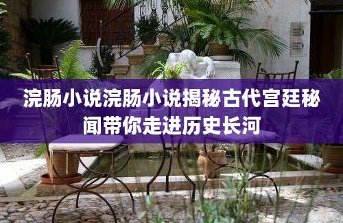 浣肠小说浣肠小说揭秘古代宫廷秘闻带你走进历史长河