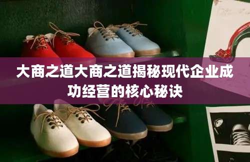 大商之道大商之道揭秘现代企业成功经营的核心秘诀