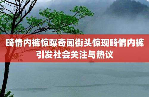 畸情内裤惊曝奇闻街头惊现畸情内裤引发社会关注与热议