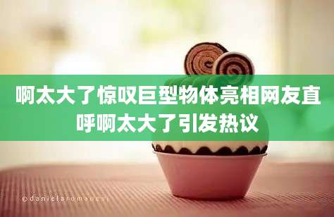 啊太大了惊叹巨型物体亮相网友直呼啊太大了引发热议
