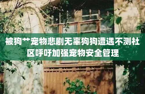 被狗艹宠物悲剧无辜狗狗遭遇不测社区呼吁加强宠物安全管理