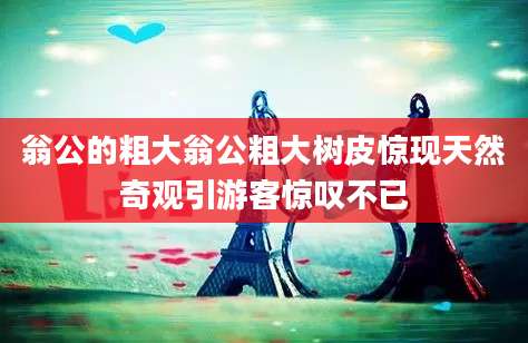 翁公的粗大翁公粗大树皮惊现天然奇观引游客惊叹不已