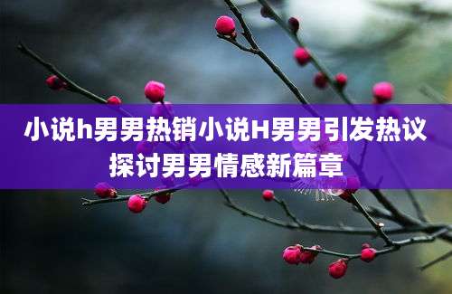 小说h男男热销小说H男男引发热议探讨男男情感新篇章