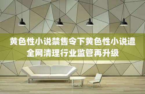 黄色性小说禁售令下黄色性小说遭全网清理行业监管再升级