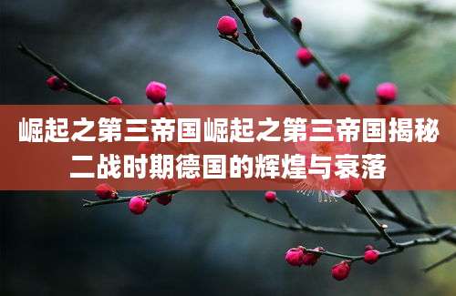 崛起之第三帝国崛起之第三帝国揭秘二战时期德国的辉煌与衰落