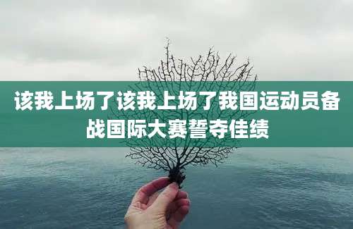 该我上场了该我上场了我国运动员备战国际大赛誓夺佳绩
