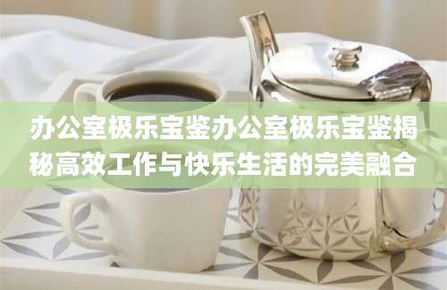 办公室极乐宝鉴办公室极乐宝鉴揭秘高效工作与快乐生活的完美融合