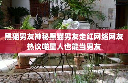 黑猫男友神秘黑猫男友走红网络网友热议喵星人也能当男友