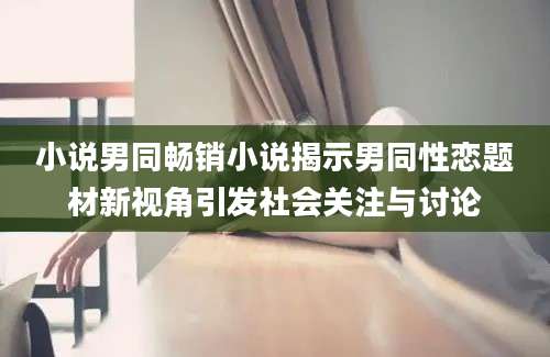 小说男同畅销小说揭示男同性恋题材新视角引发社会关注与讨论