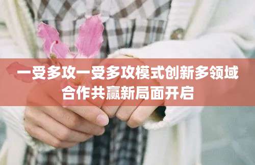 一受多攻一受多攻模式创新多领域合作共赢新局面开启