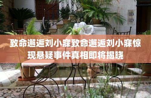 致命邂逅刘小寐致命邂逅刘小寐惊现悬疑事件真相即将揭晓