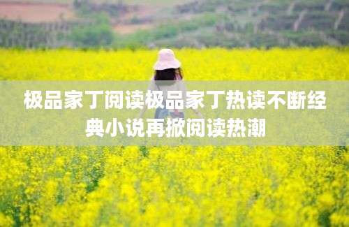 极品家丁阅读极品家丁热读不断经典小说再掀阅读热潮