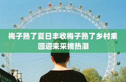 梅子熟了夏日丰收梅子熟了乡村果园迎来采摘热潮