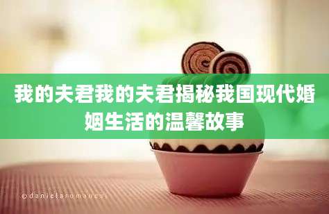我的夫君我的夫君揭秘我国现代婚姻生活的温馨故事