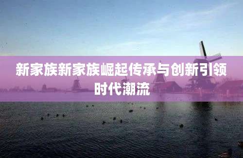 新家族新家族崛起传承与创新引领时代潮流