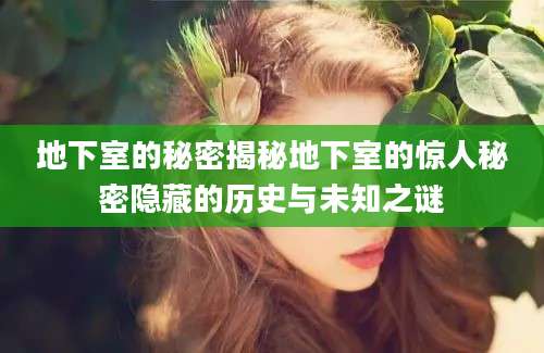 地下室的秘密揭秘地下室的惊人秘密隐藏的历史与未知之谜