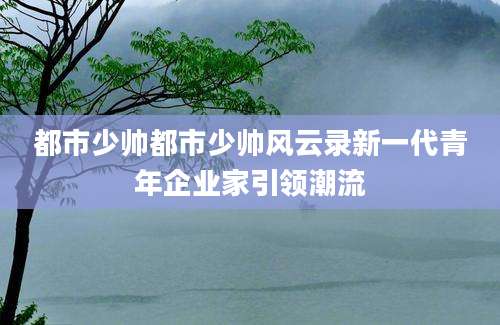 都市少帅都市少帅风云录新一代青年企业家引领潮流