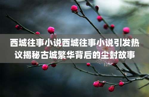 西城往事小说西城往事小说引发热议揭秘古城繁华背后的尘封故事