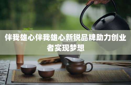伴我雄心伴我雄心新锐品牌助力创业者实现梦想