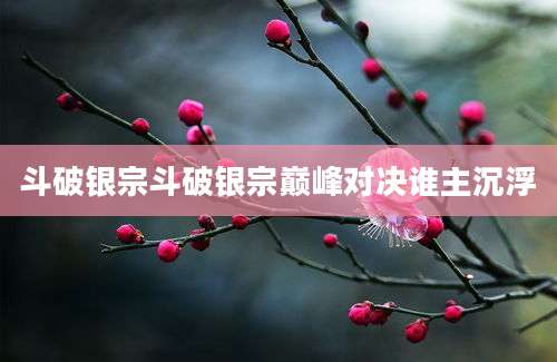 斗破银宗斗破银宗巅峰对决谁主沉浮