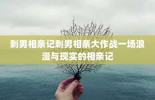 剩男相亲记剩男相亲大作战一场浪漫与现实的相亲记