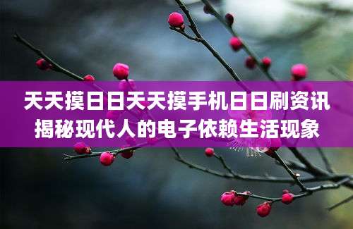 天天摸日日天天摸手机日日刷资讯揭秘现代人的电子依赖生活现象
