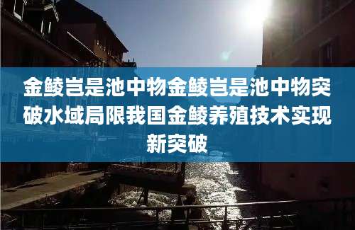 金鲮岂是池中物金鲮岂是池中物突破水域局限我国金鲮养殖技术实现新突破
