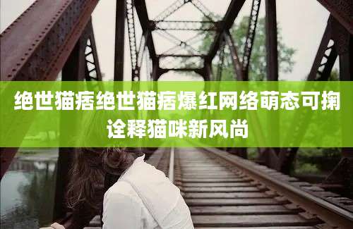 绝世猫痞绝世猫痞爆红网络萌态可掬诠释猫咪新风尚